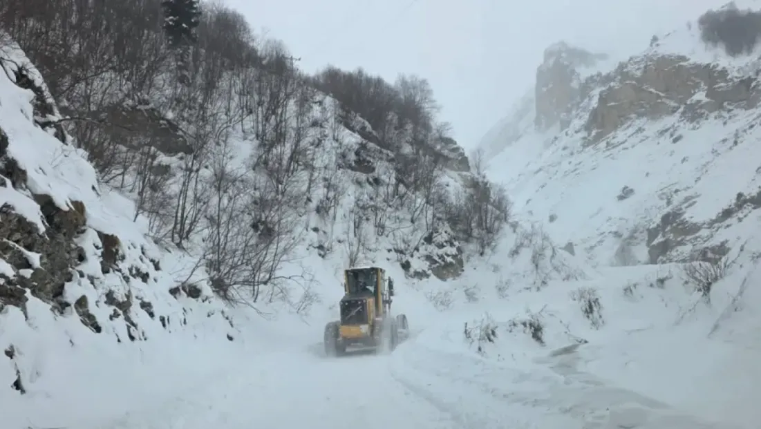 Artvin'de çığ faciası: Üç çobandan birinin cansız bedeni bulundu