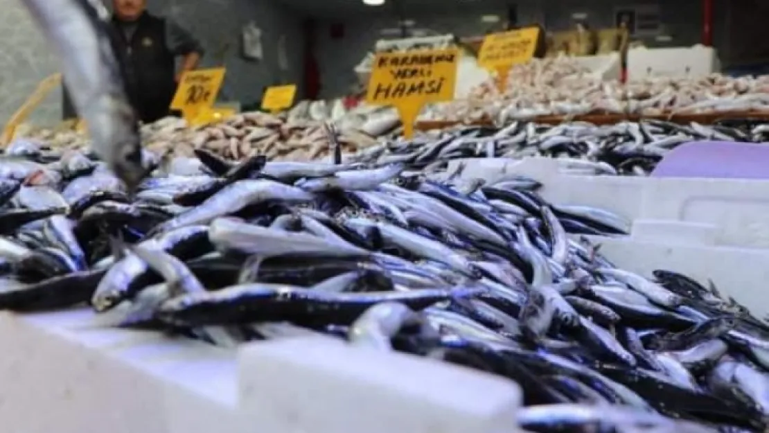 40 TL olan hamsi 15 TL'ye kadar düştü