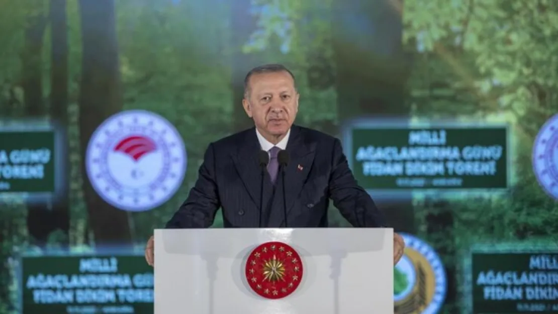 81 ile 81 millet ormanı
