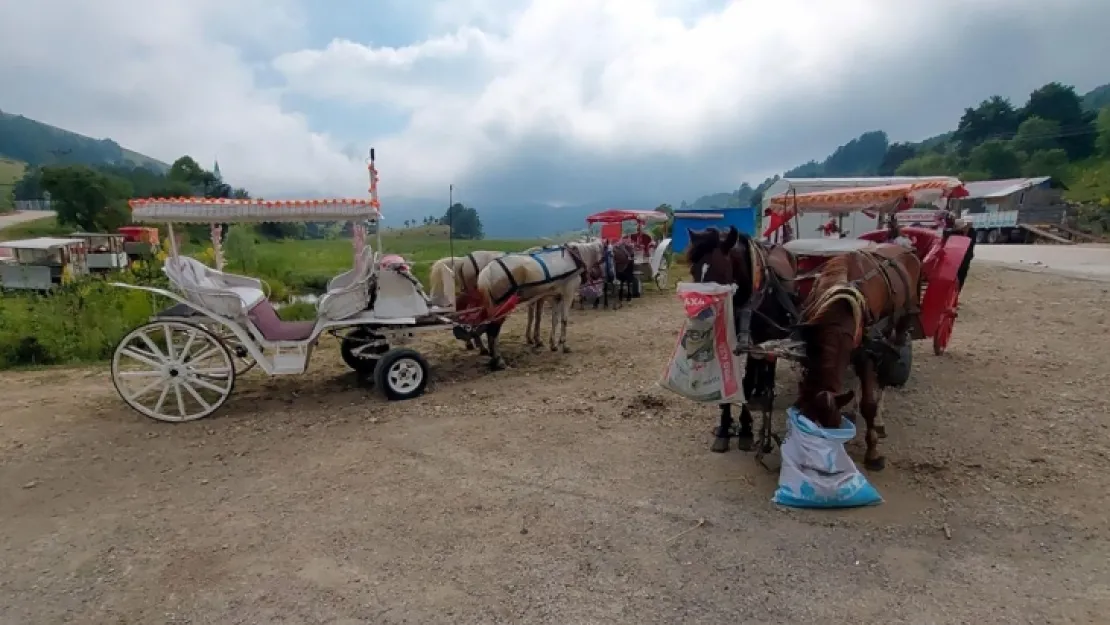 Abant Milli Parkı'nda fayton yasaklandı