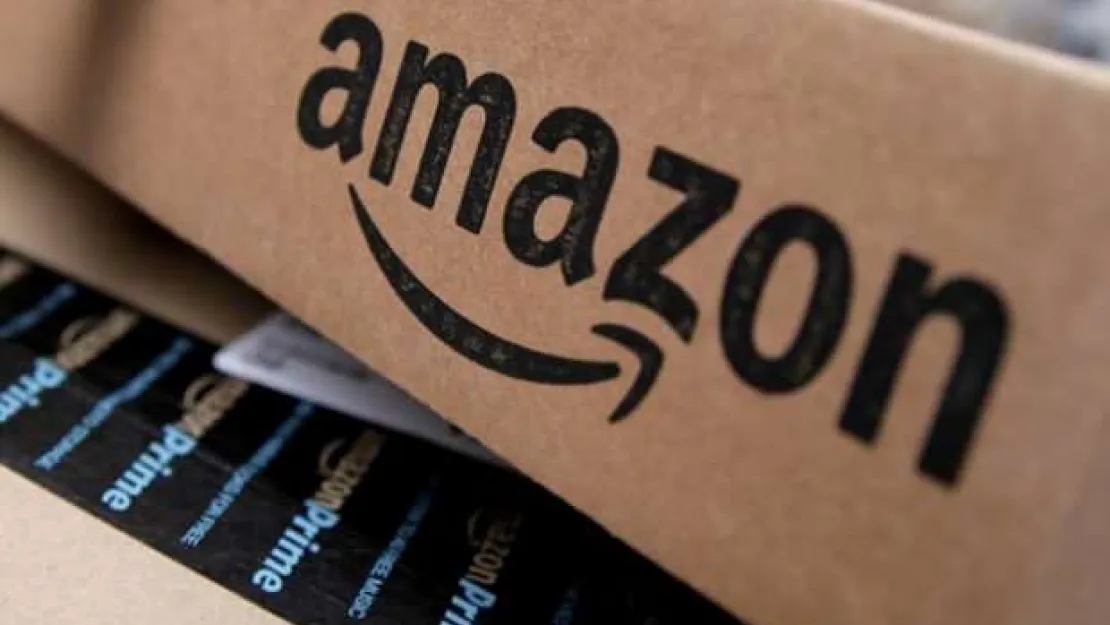 Ambargoyu Delen Amazon'a Ceza