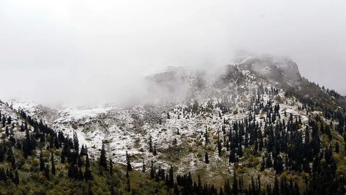 Ardahan - Şavşat karayolunda kar engeli