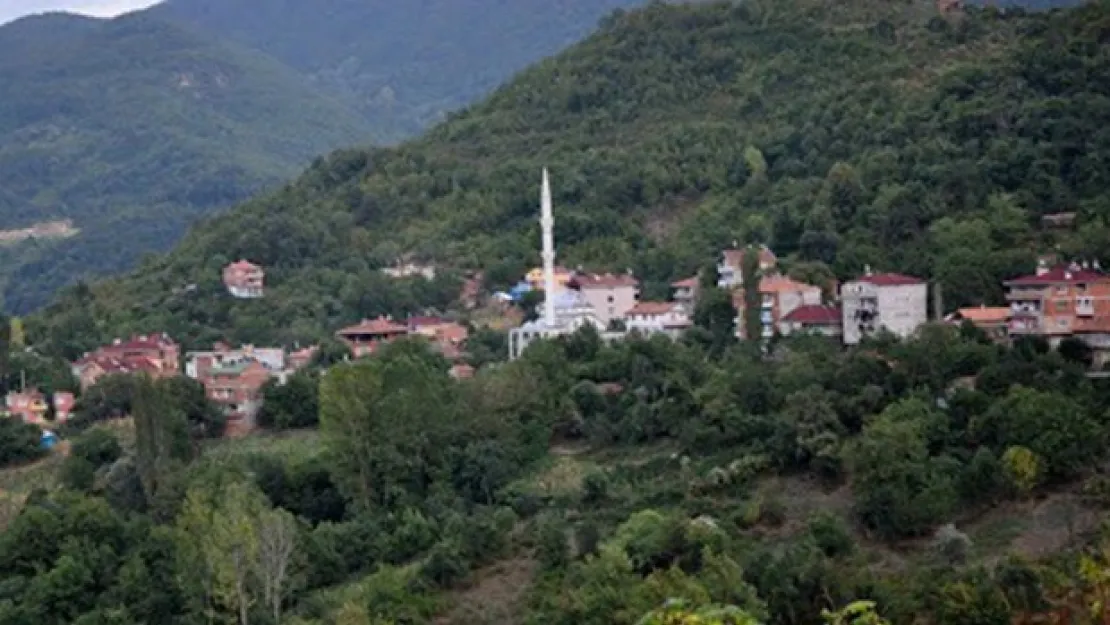 Ayancık'ta bir mahalle karantinaya alındı