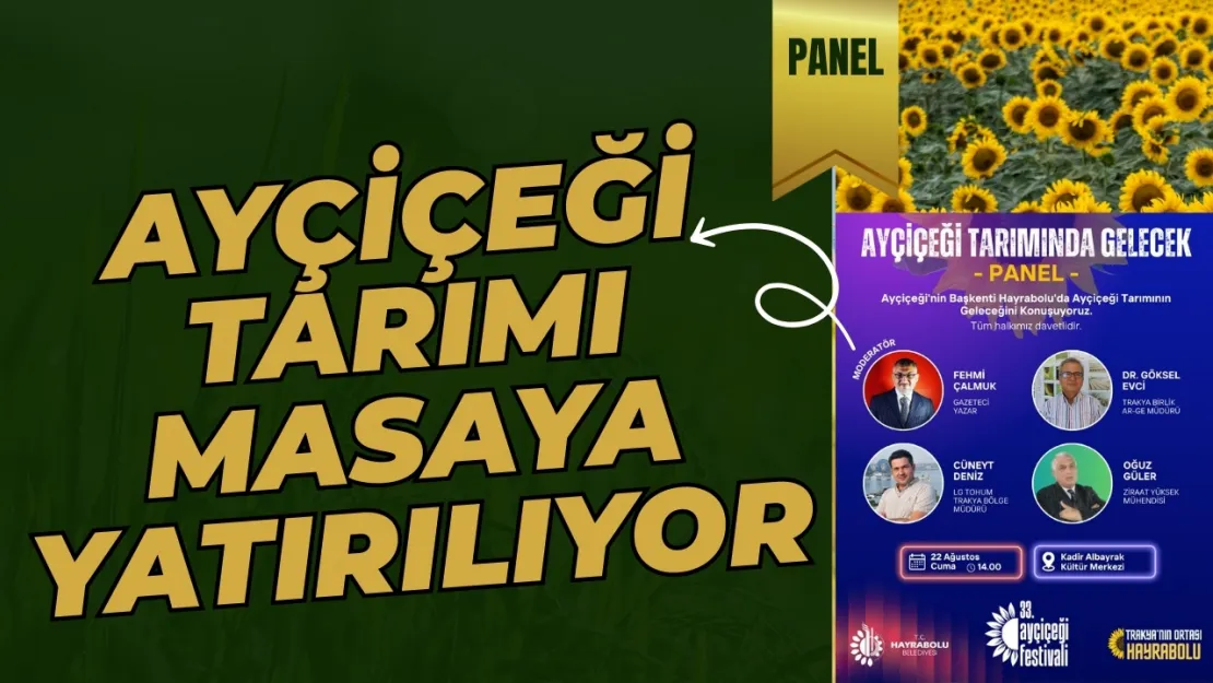 Ayçiçeği Tarımının Geleceği Hayrabolu'da Masaya Yatırılacak