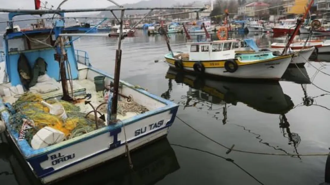 Balıkçılar sezonu erken kapatıyor