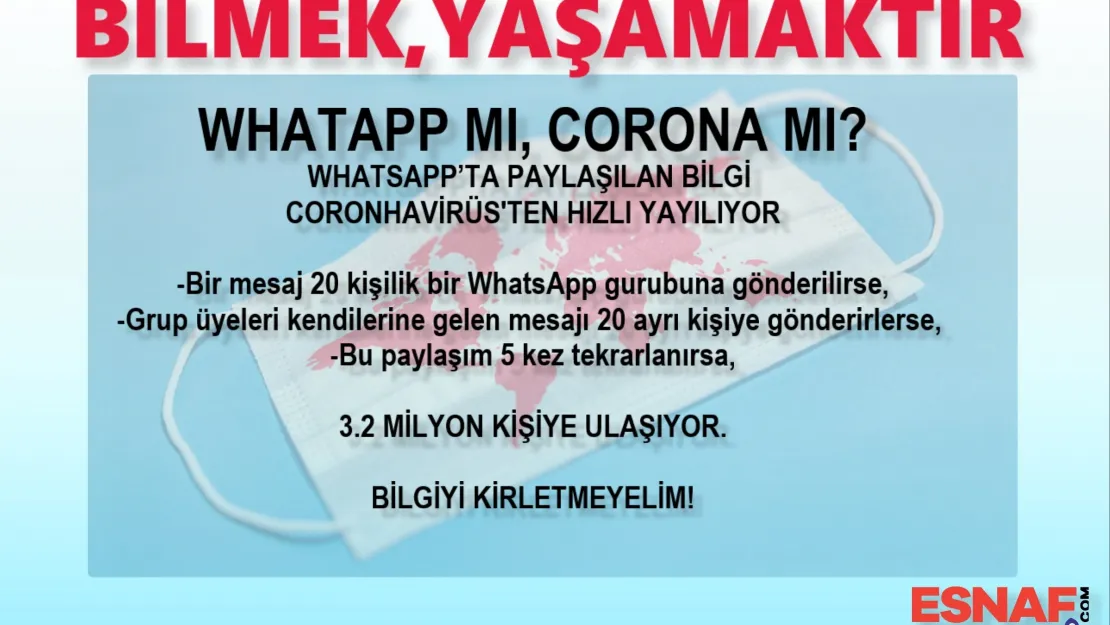 Bilgiye Virüs Bulaşır mı ?