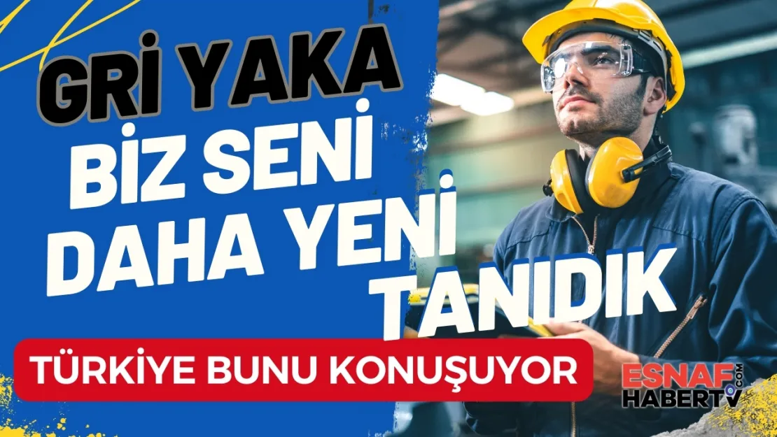 Bir de başımıza gri yakalılar çıktı