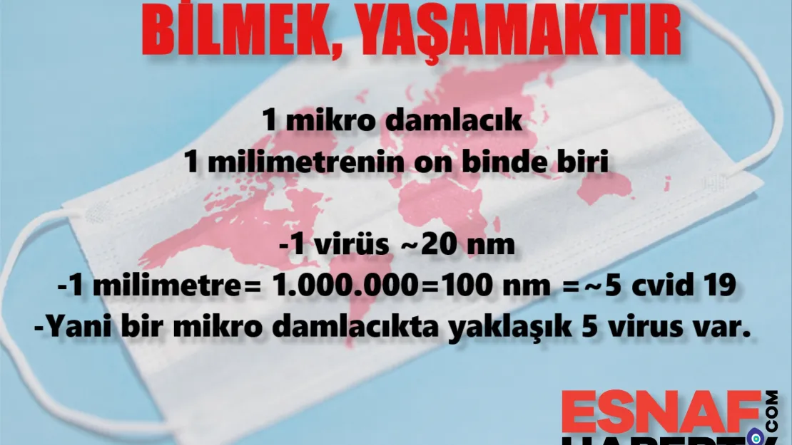 Bir Mikro Damlacıkta Beş Virüs Var