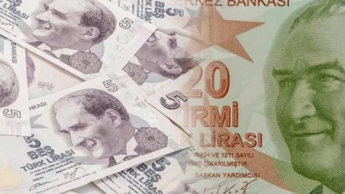 Bugün tedavüle girdi! 20 TL ve 5 TL'lik banknotlarda değişiklik