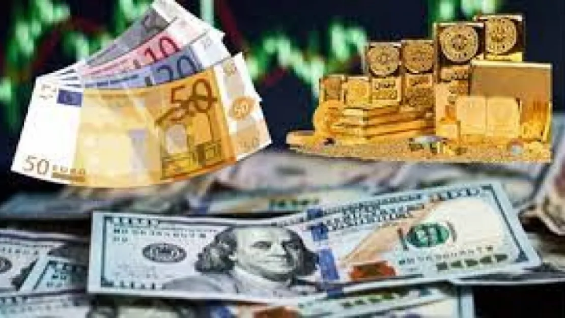 Dolar, Euro ve altın rekor tazeledi