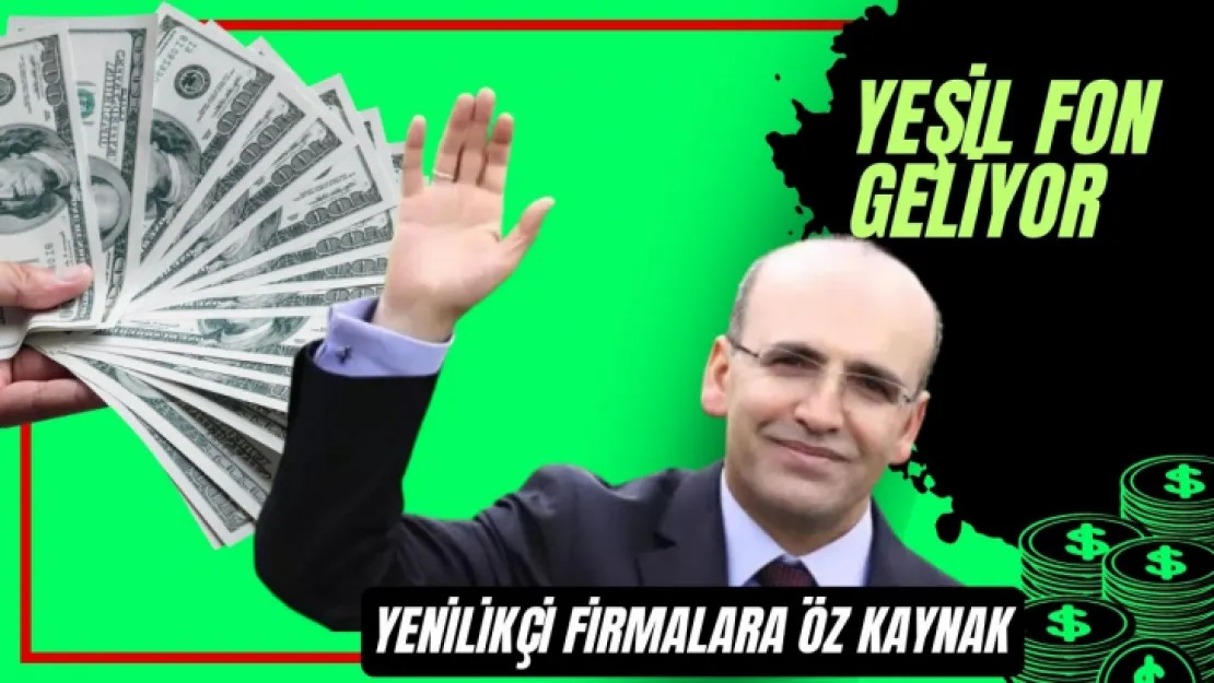 Doların Yeşili  Türkiye'ye Fon Oldu