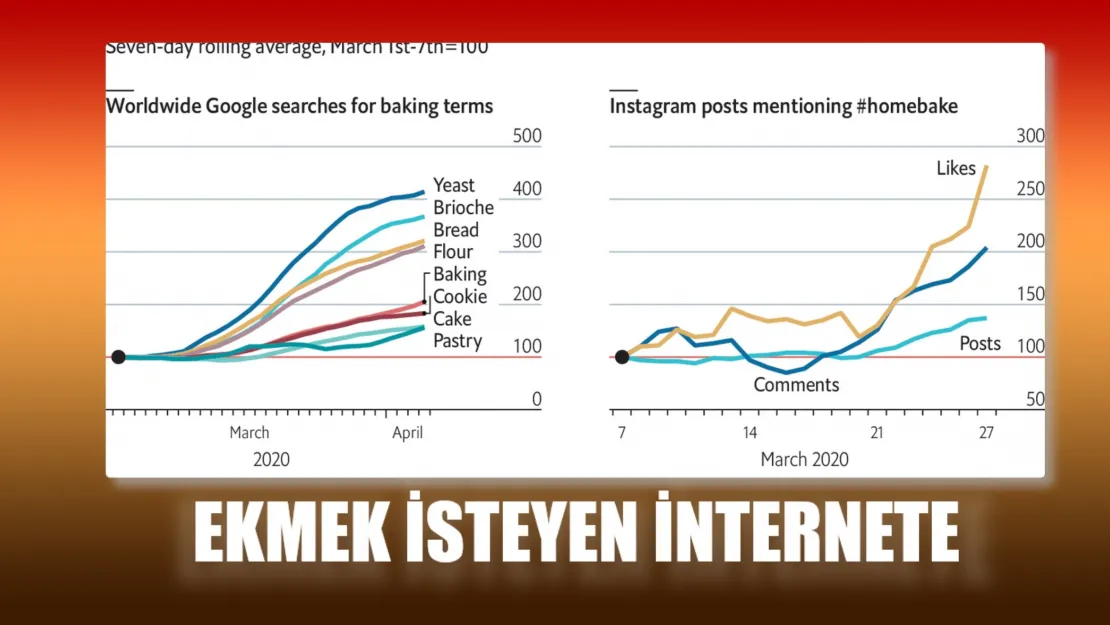 'Ekmeğimi Evde Pişirebilir miyim?' Diyen  İnternette!