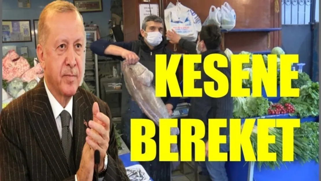 Erdoğan, 10 Kilo Lagos'a Kaç Lira Verdi?