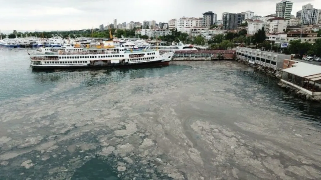 Esnaf Deniz Salyasından Şikayetçi