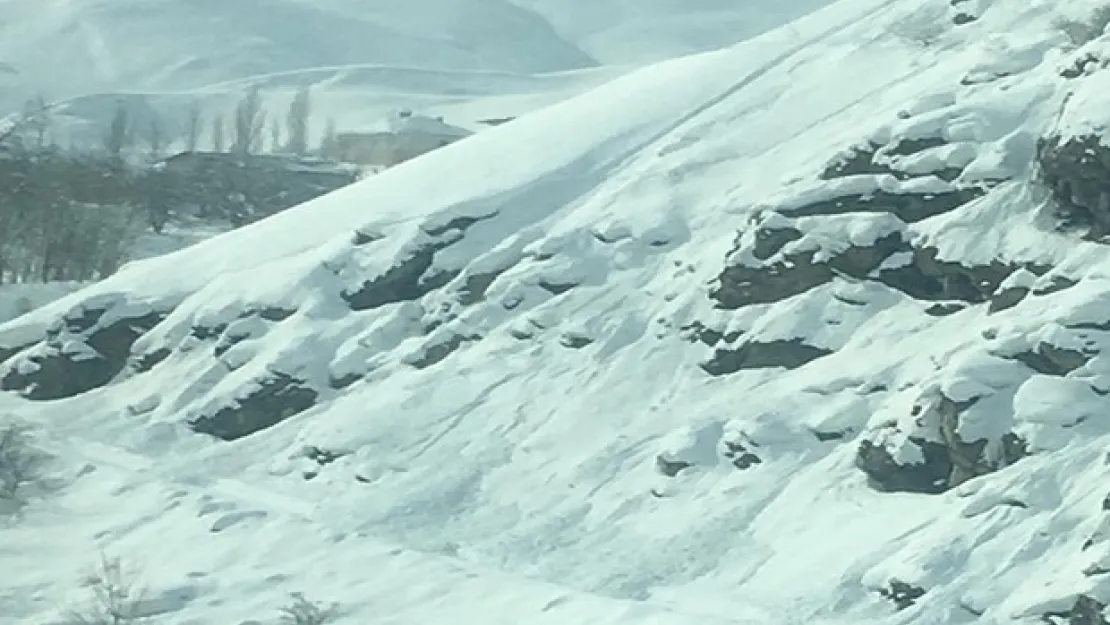 Hakkari'de mahalle yoluna çığ düştü