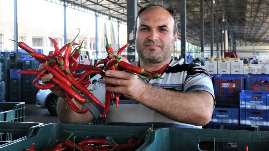 Havalar ısındı, sebze fiyatları yarı yarıya düştü