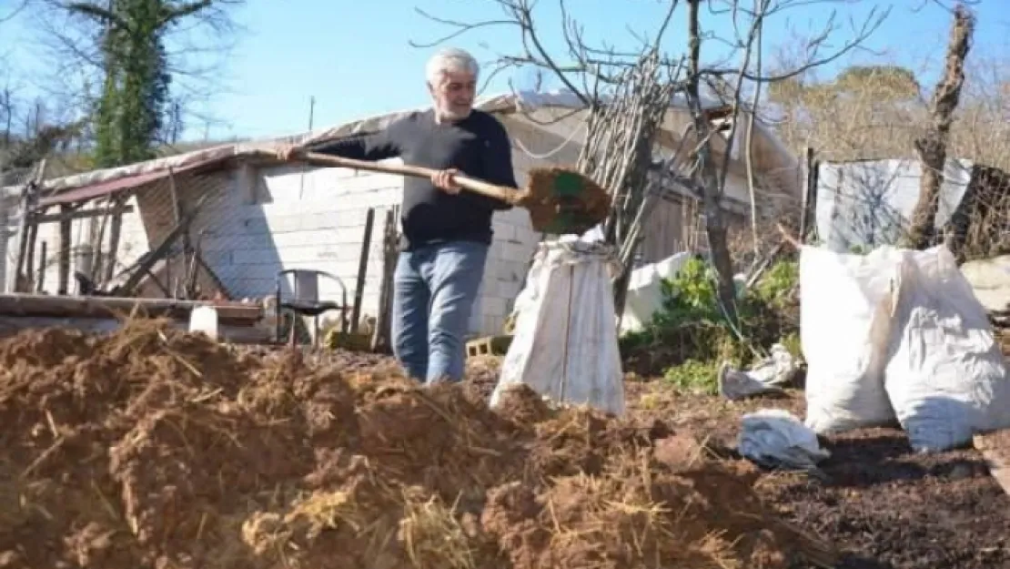 Hayvan gübresine talep arttı! Fiyatı ikiye katlandı