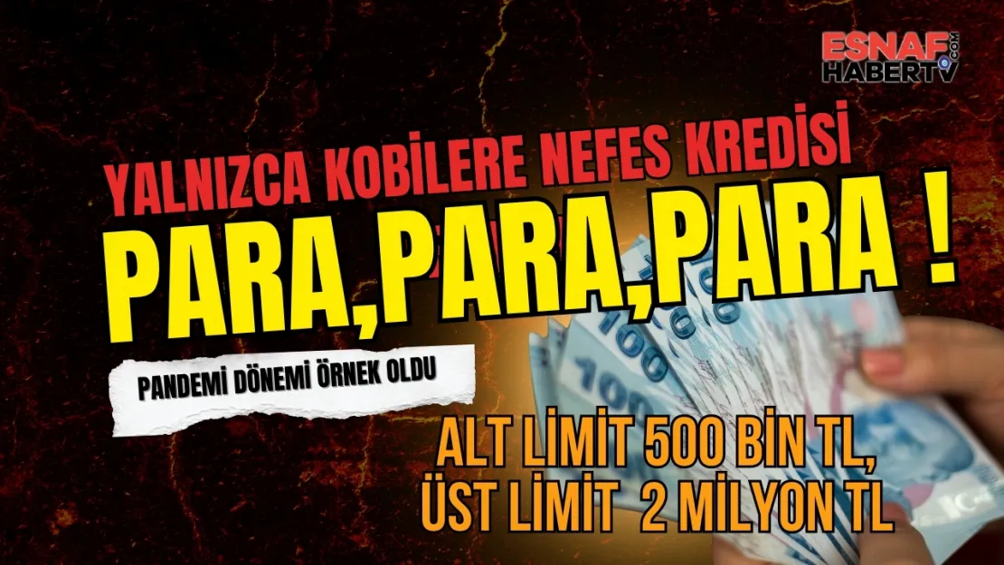 İşletmelere Müjde: Yeni NEFES Kredisi Yolda!