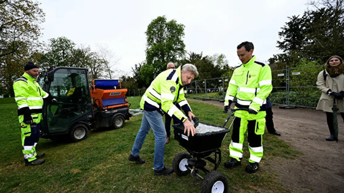 İsveç'te Kalabalığı Önlemek İçin Parklara Gübre Dökülüyor