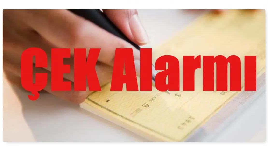 Karşılıksız Çek Alarm Veriyor