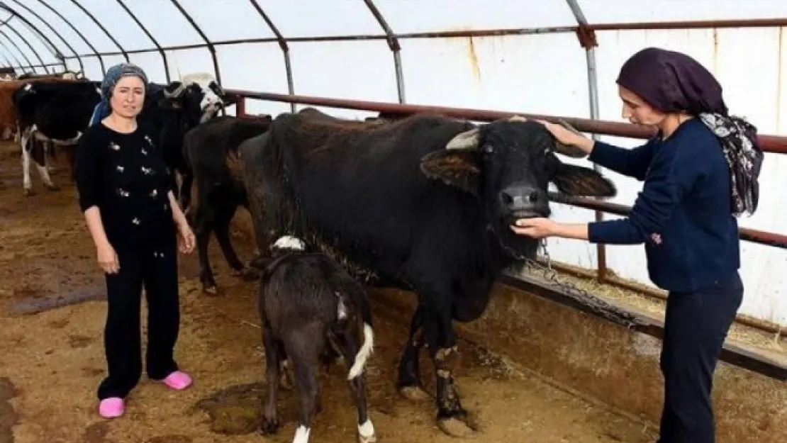 Kız kardeşler devlet desteği ile baba mesleğini devam ettiriyor