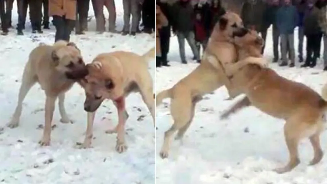 Konya'daki Skandalda Ceza Yağdı