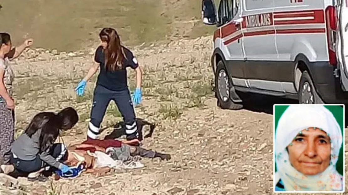 Köpekler Yaşlı Kadını Öldürdū
