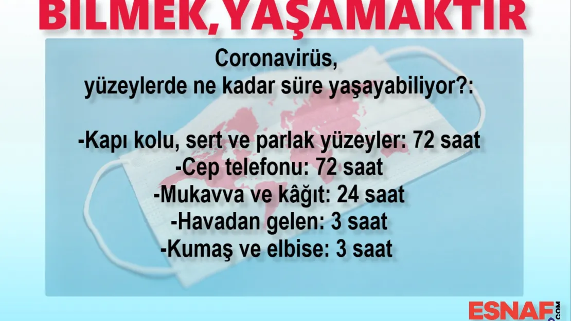 Koronavirüs, Cep Telefonunda 3 Gün Yaşıyor