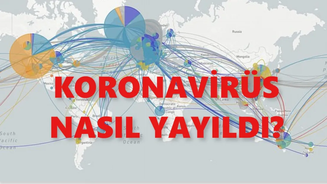 Koronavirüs Nasıl Yayıldı?