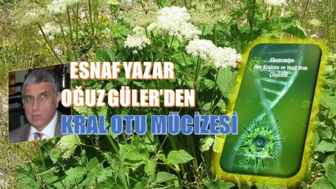 Kral Otu Sektörü Kral Gibi Yaşatacak