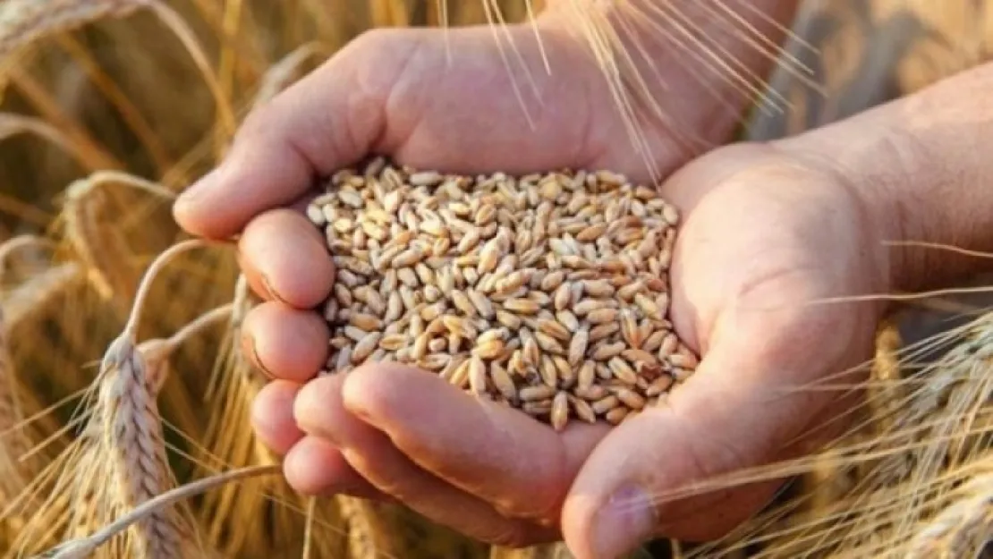 Makarna ve Bulgur İhracı Kayda Bağlandı