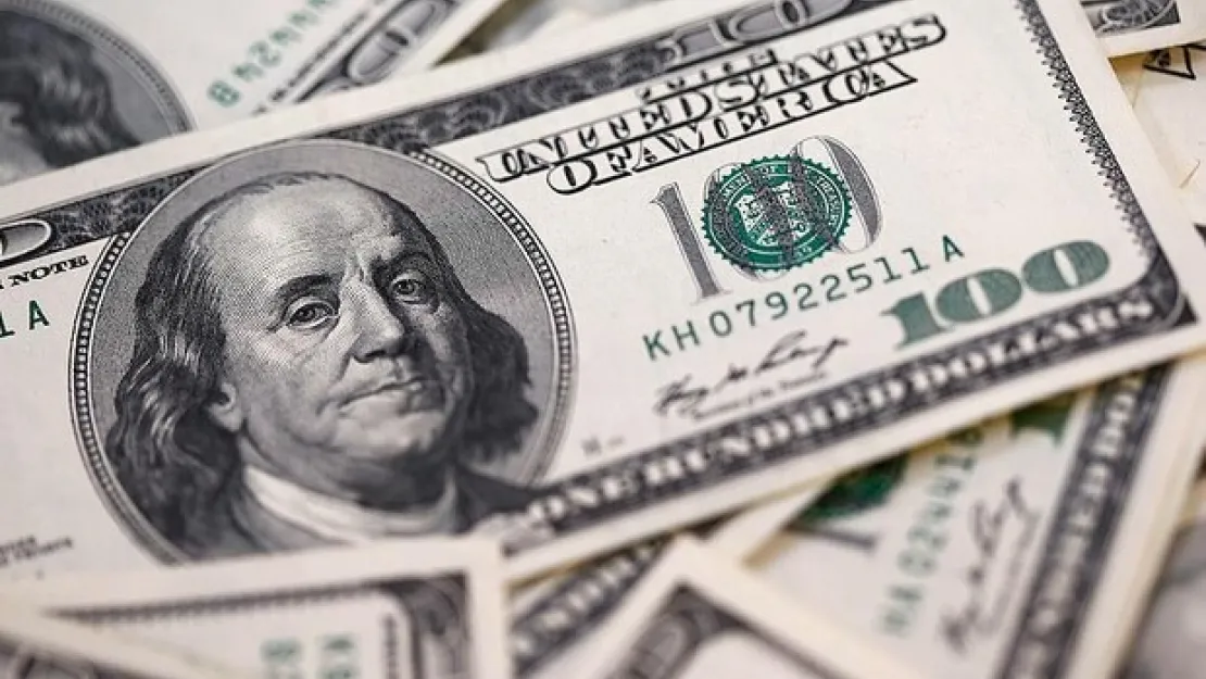 Merkez Bankası rezervleri 106 milyar 319 milyon dolar oldu