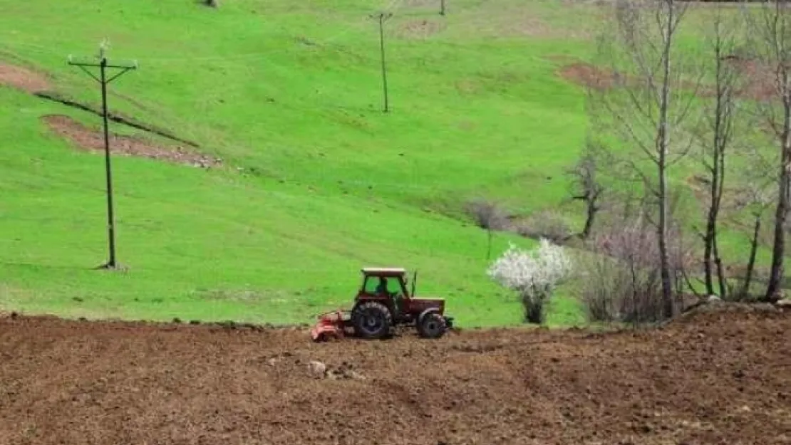 Ordu'da atıl araziler üretime kazandırılıyor