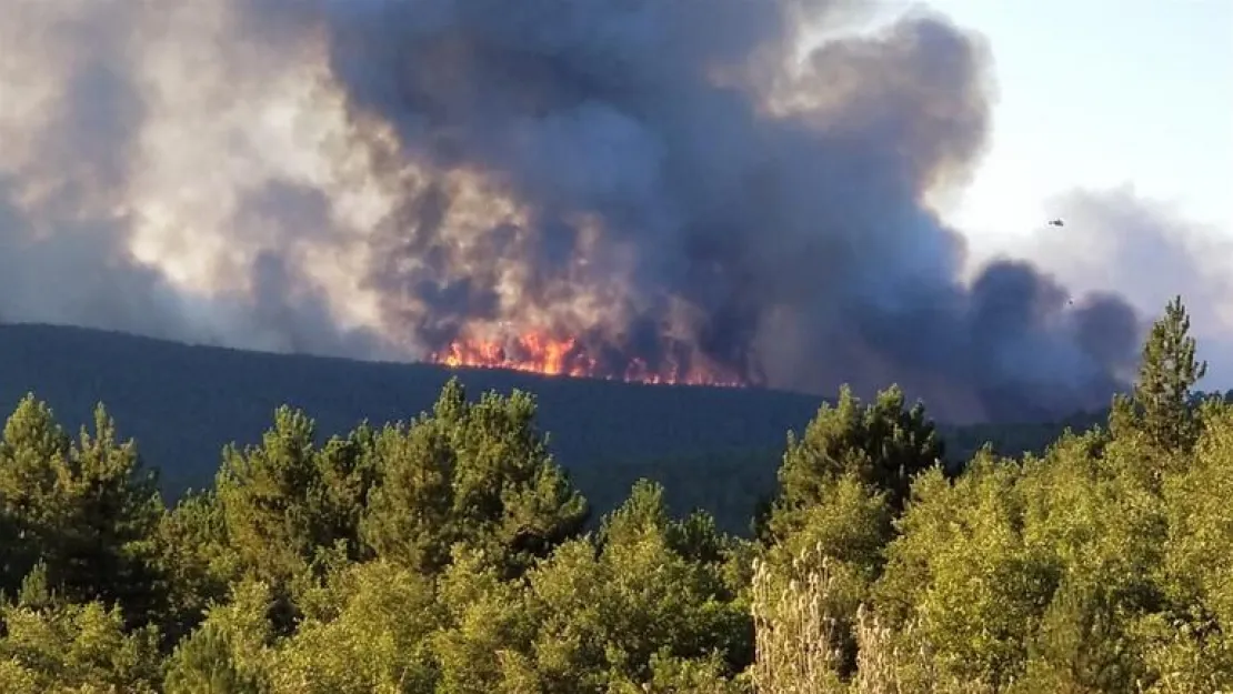 Orman Yangınları Birbirini Kovalıyor