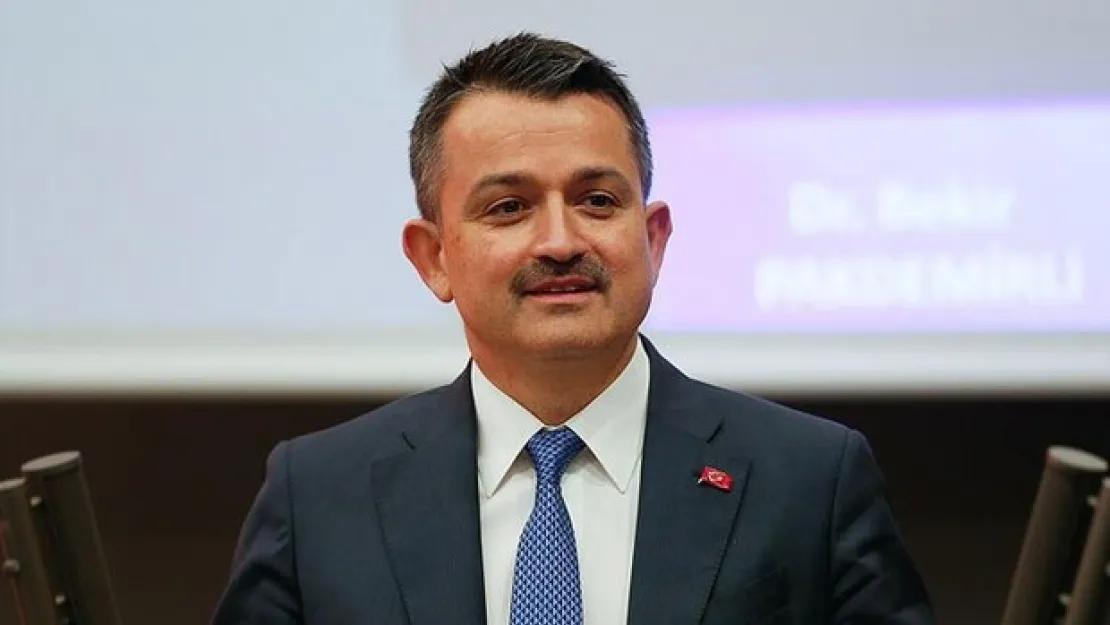 Pakdemirli: Yeni uçaklar devrede olacak