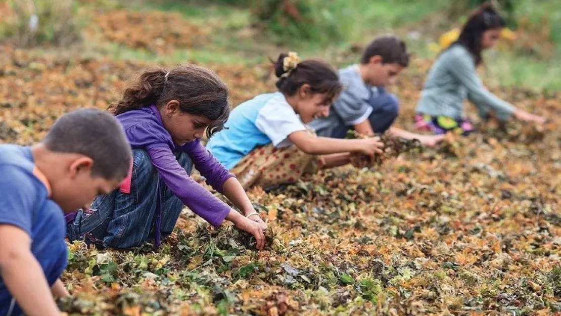 Palandöken: Çocuk İşçiliğini Bitirmekte Kararlıyız