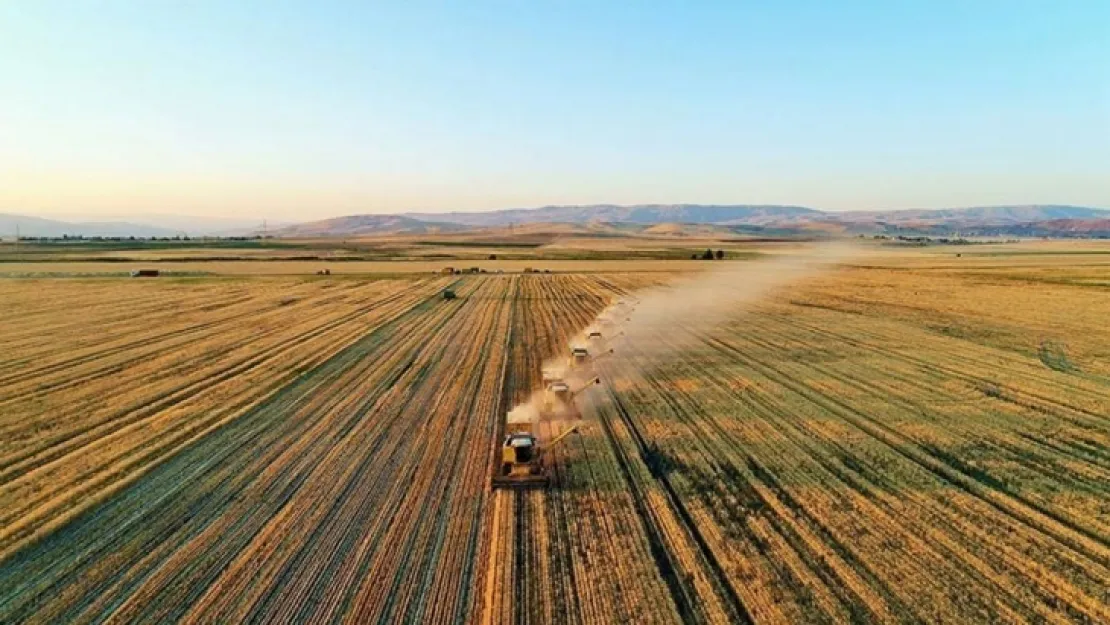 Tarımsal girdi fiyat endeksi haziranda yıllık yüzde 134,96, aylık yüzde 7,92 arttı