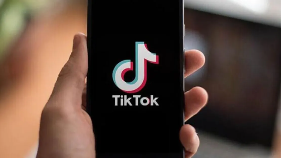 Tiktok'a inceleme