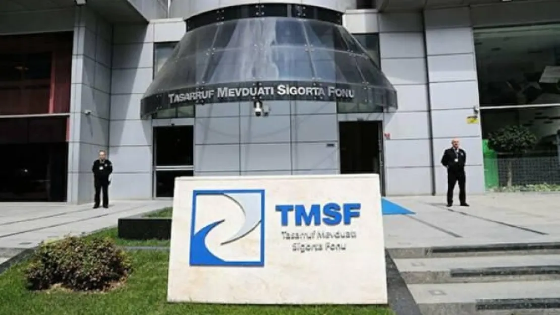 TMSF iki şirketi satışa çıkardı