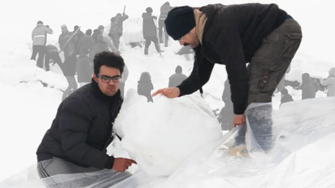 Tonlarca karı toplayıp götürdüler