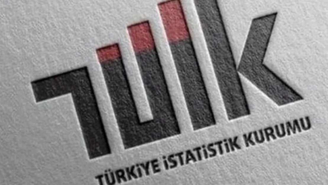 TÜİK : İşsizlik , Mayısta Yüzde 13,2