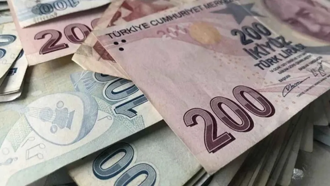 Türk Lirası Kanun Teklifi Meclis'te