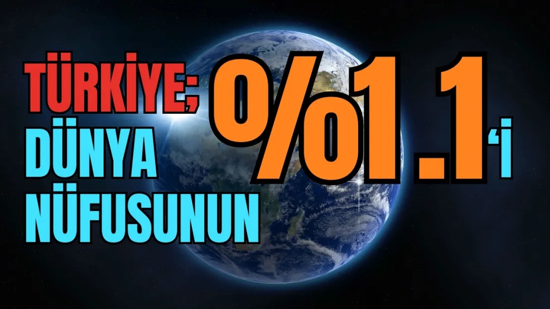 Türkiye'nin yüzde yüzde 1,1 sırrı