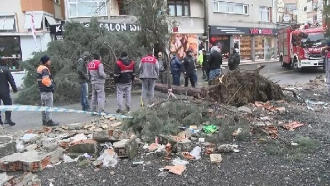 Ümraniye'de fırtına ağaç devirdi