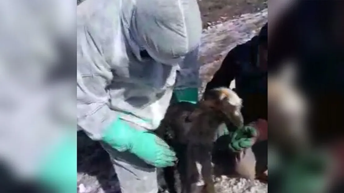 Van'daki enkazdan günler sonra mucize