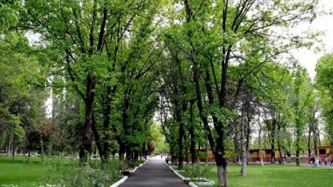 Yargıtay, AOÇ arazisinin ABD Büyükelçiliği'ne satışını durdurdu