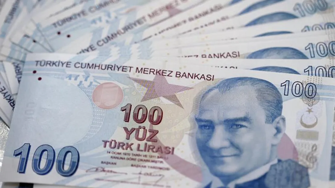 Yeni 100 Liralar Tedavüle Çıkıyor