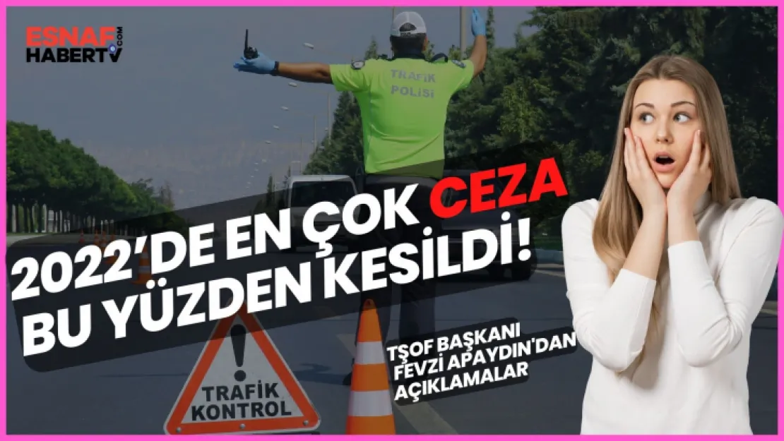 Yılbaşını dışarıda geçirecekler bunlara dikkat! TŞOF Başkanı Fevzi Apaydın'dan önemli açıklamalar