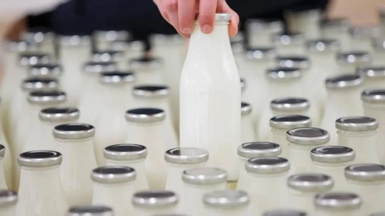 Rekabet Kurulu'ndan süt sektörüne soruşturma! 41 firma mercek altında