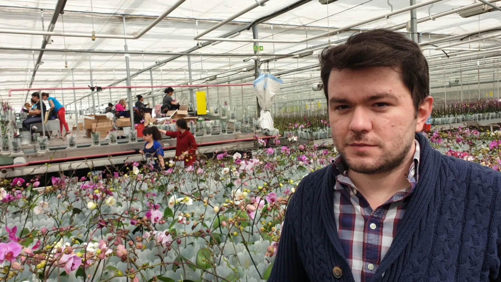 Orkideni Soldurma, Suyunu Çok Doldurma